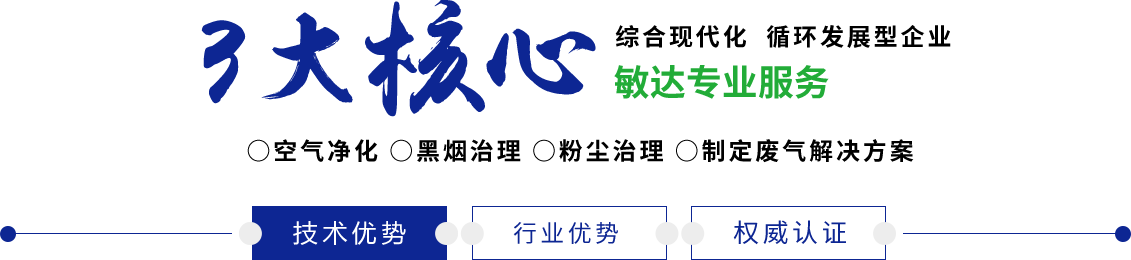 嗯……啊……爽死大鸡巴插死我了免费线上视频敏达环保科技（嘉兴）有限公司